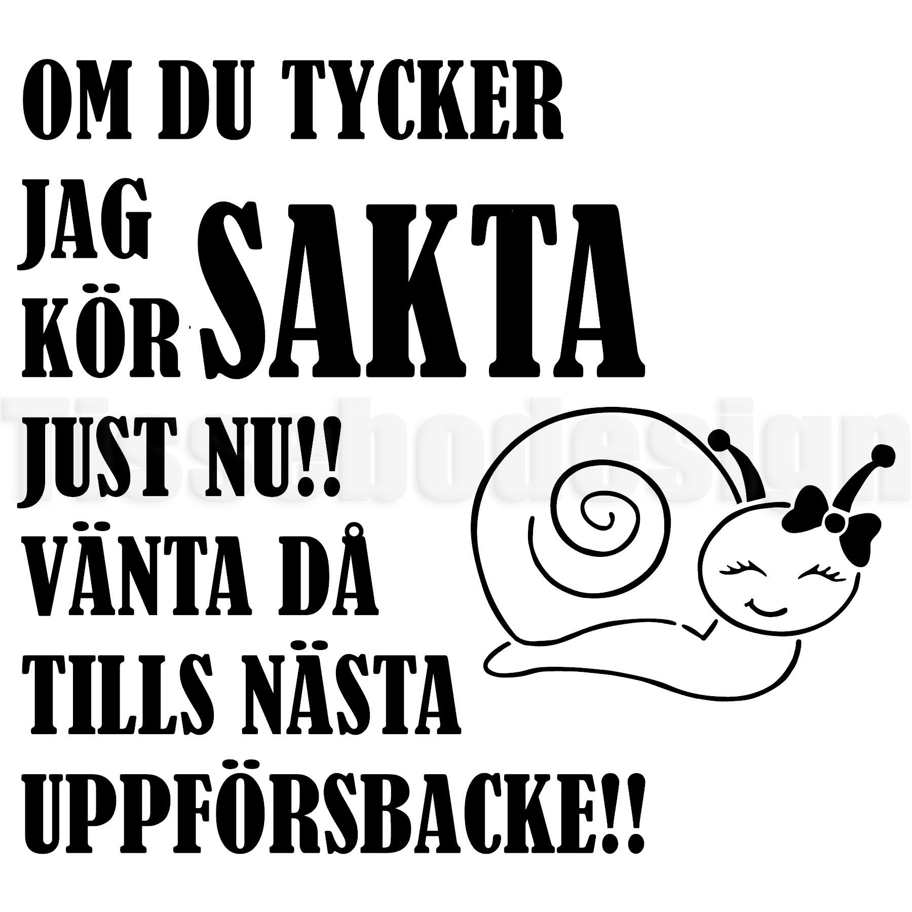 Husbilsdekal Om Du Tycker Jag kör Sakta Just Nu