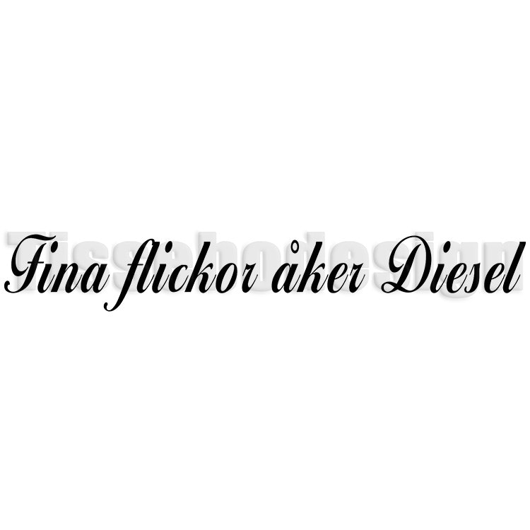 Bildekal Fina Flickor Åker Diesel