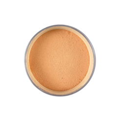 Technic Mineral Powder Foundation - Beige