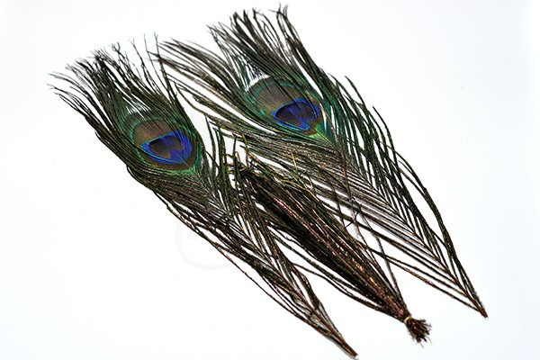 Troutline Standard Peacock Eye Feathers Set of 2 Feathers