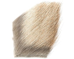 Elk Body Hair