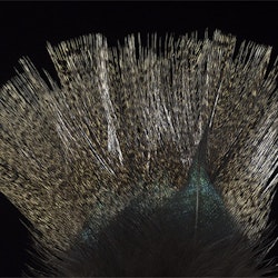 Troutline Coq de Leon Pardo Colgaderas Feathers