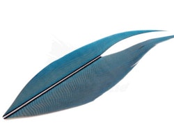 Troutline Macaw Side Tail Section Blue/Yellow