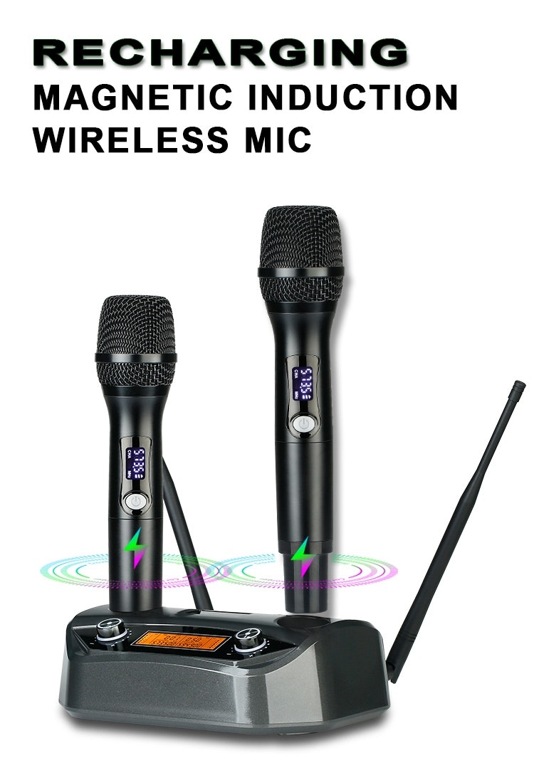 Trådlöst karaoke mikrofon system  med laddaren