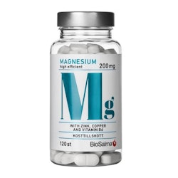 BioSalma Magnesium with Zinc, Copper and B6 120 Tablets