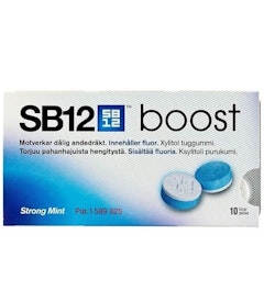 SB12 Boost Strong Mint Chewing Gum 10 pcs