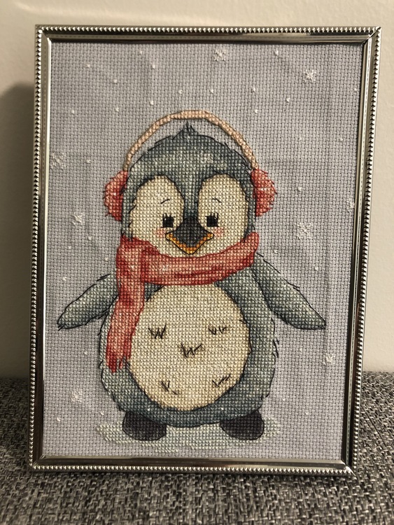 Kald Pingvin