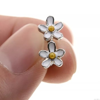 Örhänge Daisies