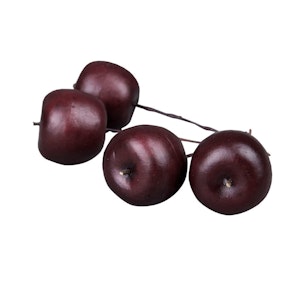 Äpple Burgundy/Tråd Mellan