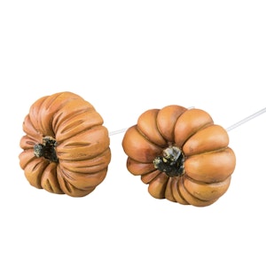 Pumpa Stick Orange Mix Poly