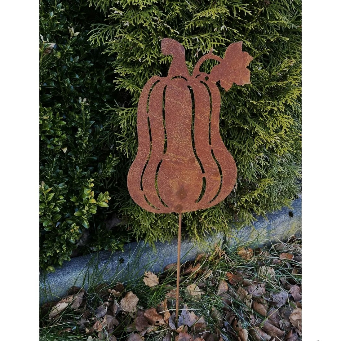 Pumpa Avlång