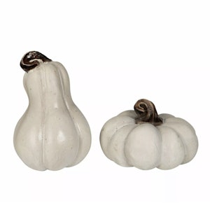 Pumpa Mini Vit Mix Poly 2st