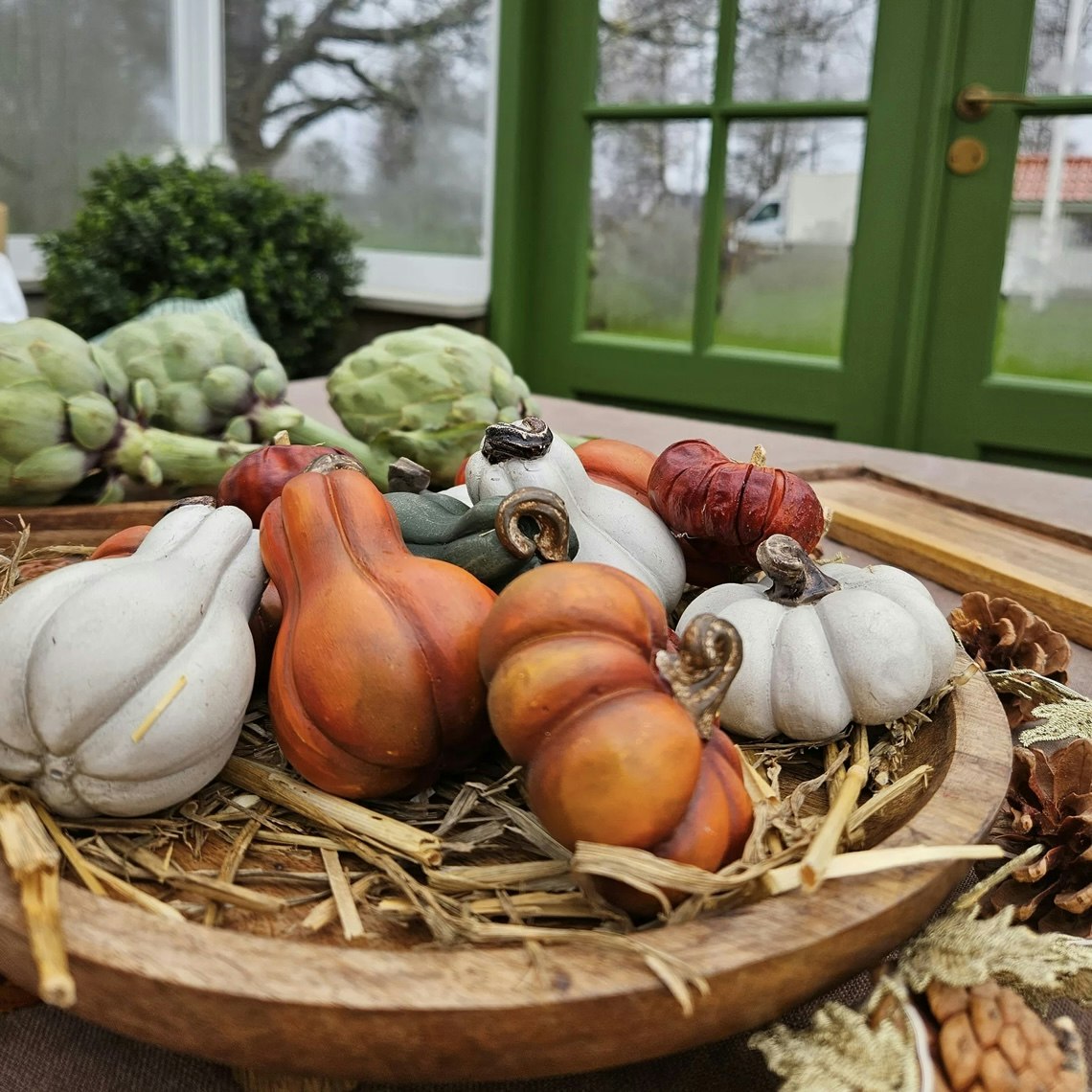 Pumpa Mini Vit Mix Poly 2st