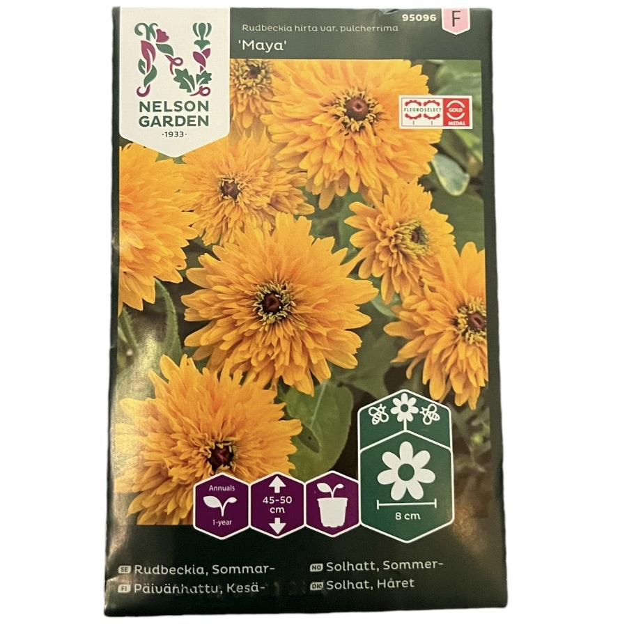 Rudbeckia Maya
