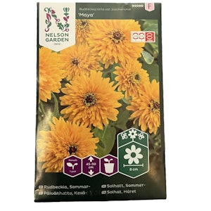 Rudbeckia Maya