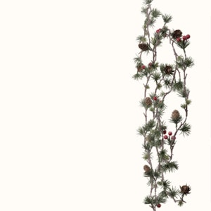 Fleur Cederranka med bär