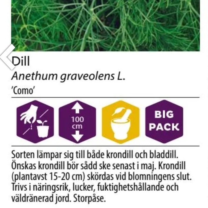Dill Vanlig Como Big Oack