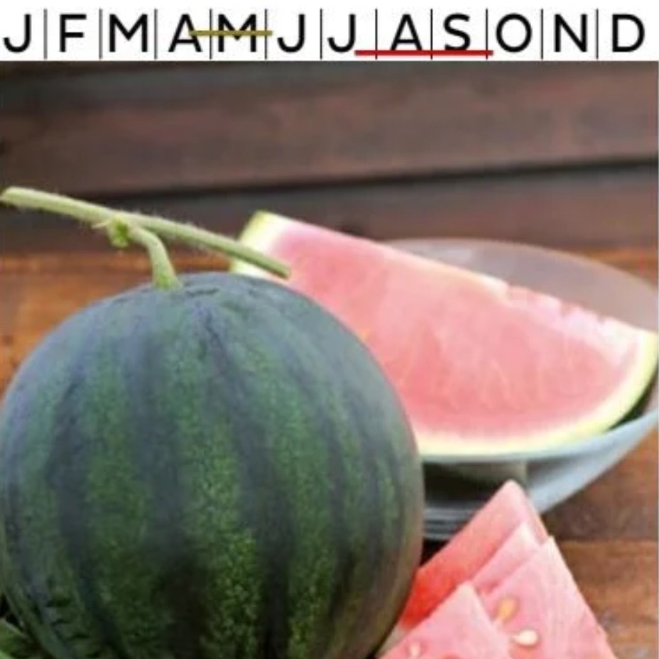 Vattenmelon Sugar Baby