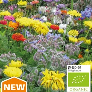 Nectar mix lyx