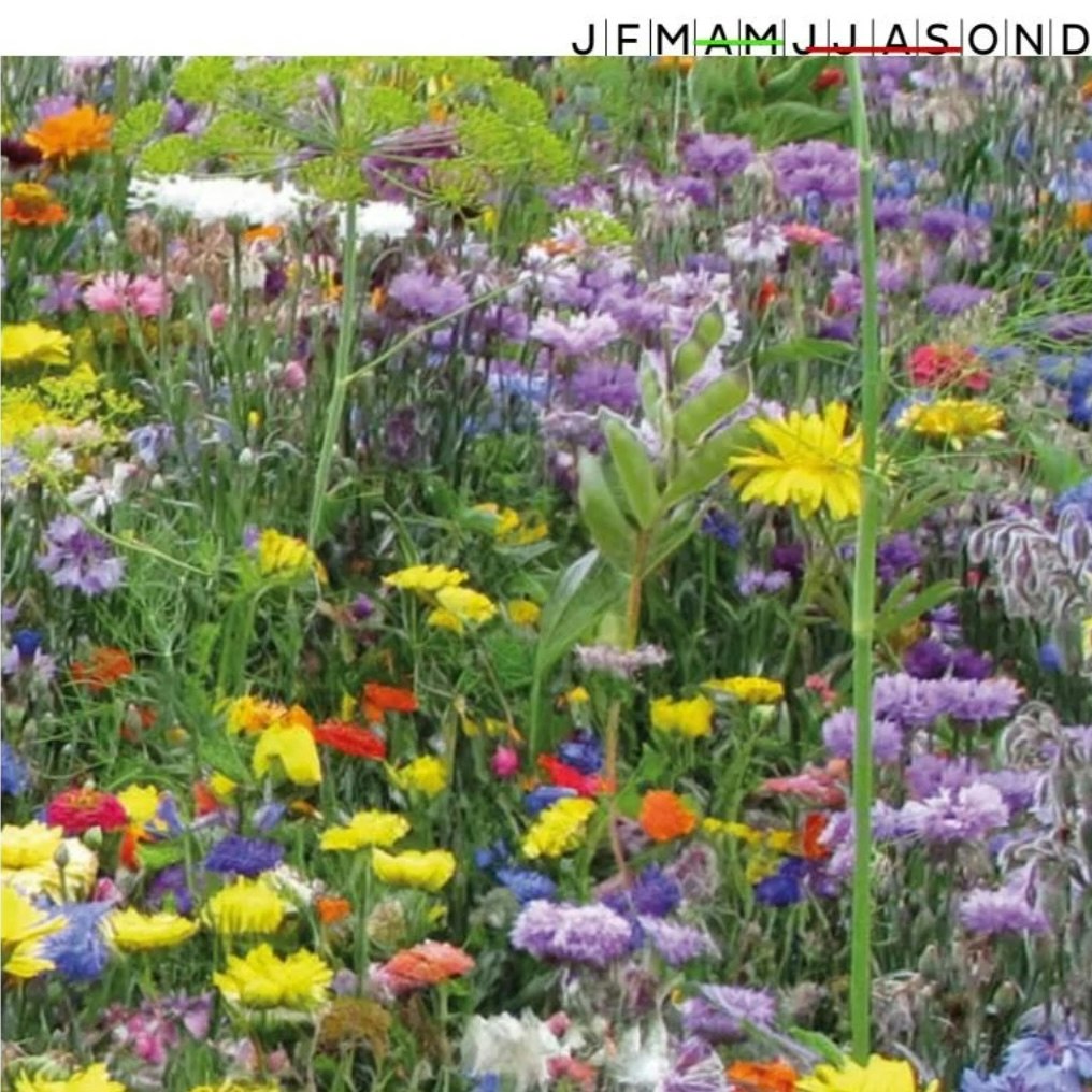 Nectar mix lyx