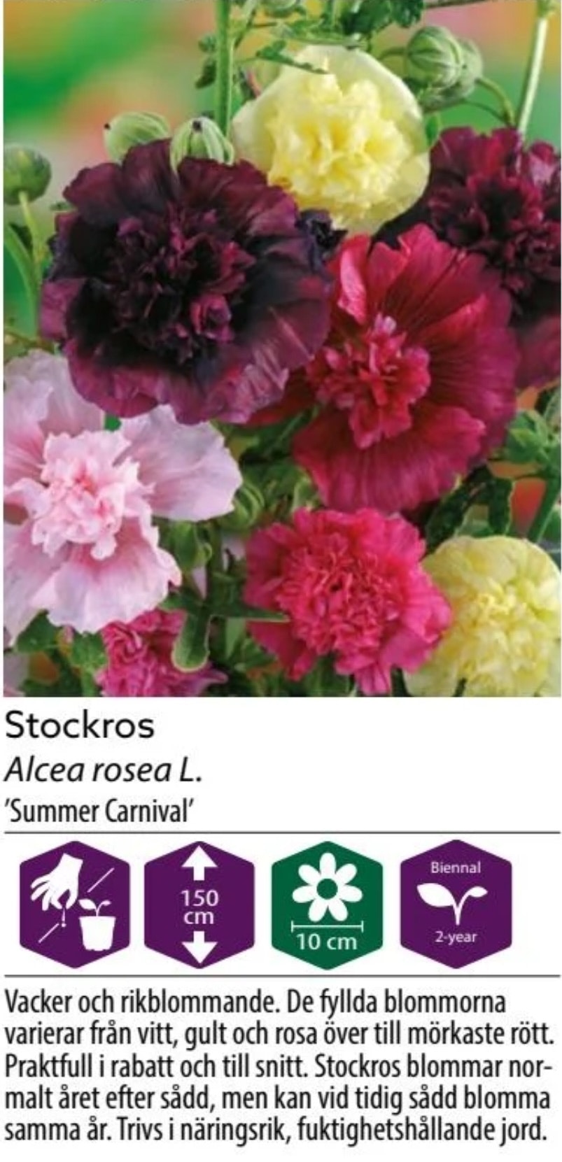 Stockros Summer Carnival
