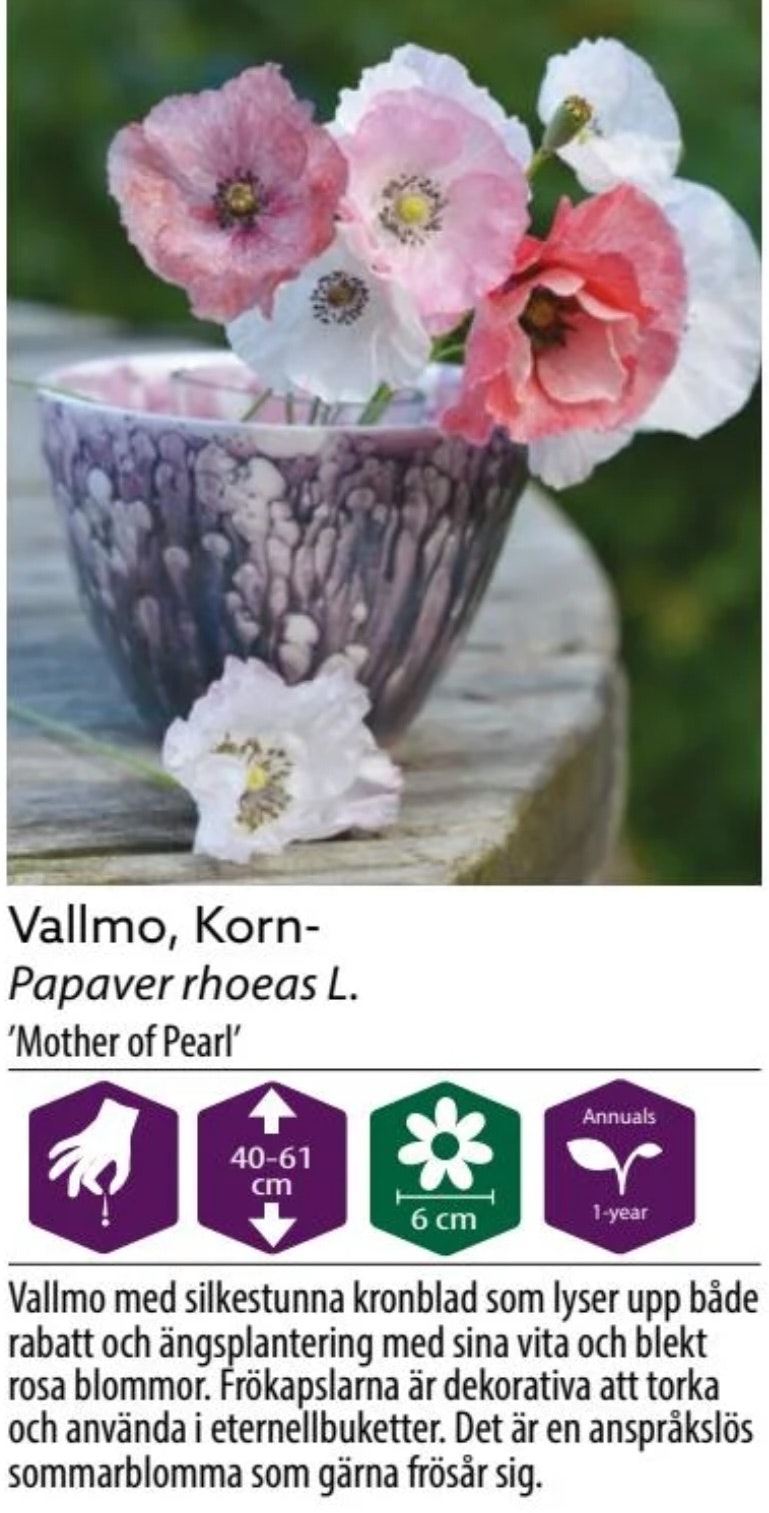 Kornvallmo Mother of Pearl