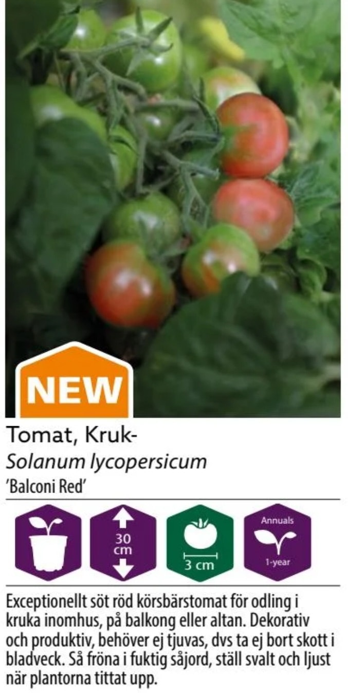 Tomat Kruka Balconi Red