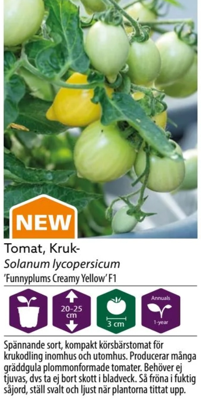 Tomat Kruk Funnyplums Creamy Yellow F1