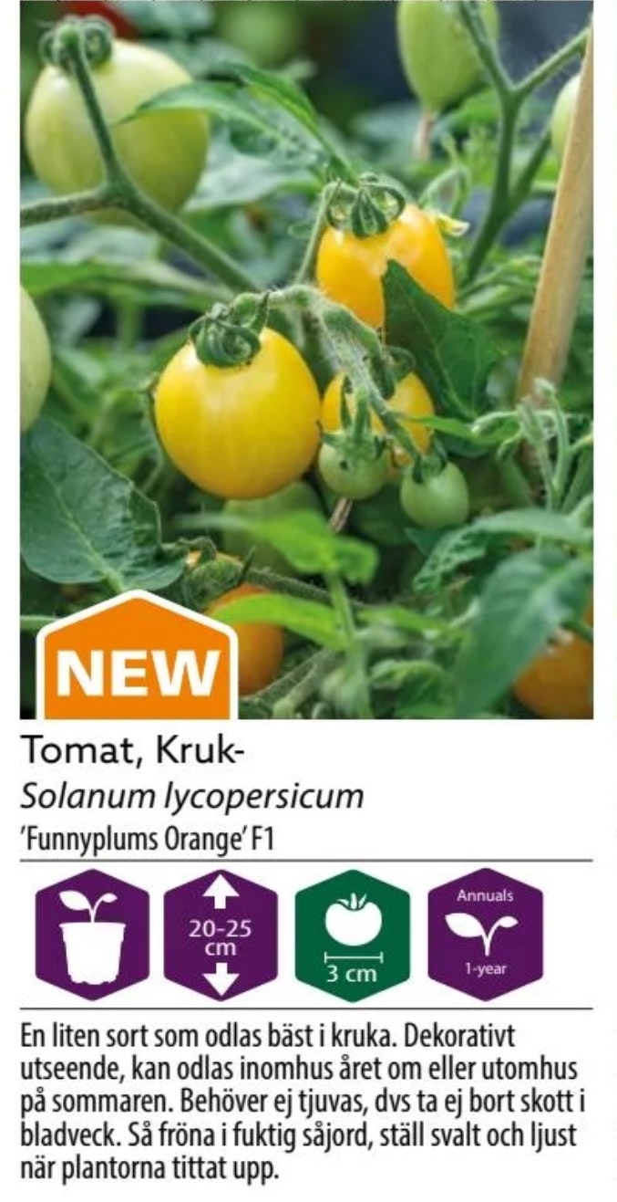 Tomat Kruka Funnyplums Orange F1