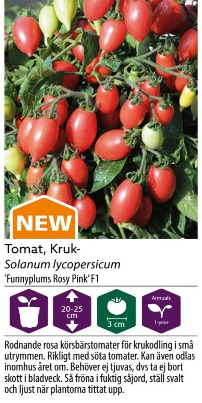 Tomat Kruka Funnyplums Rosy Pink F1