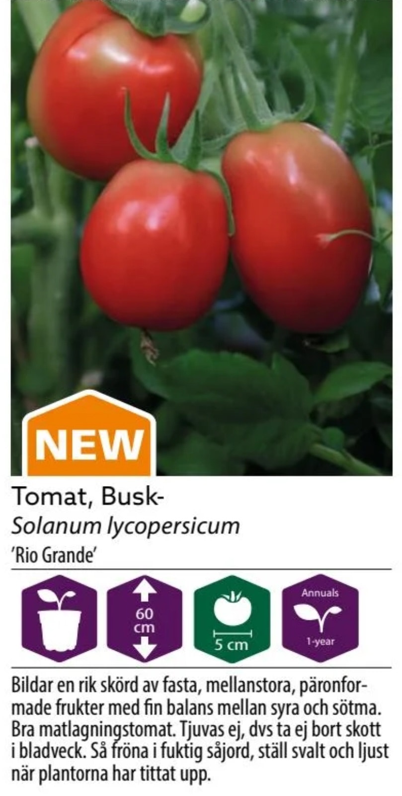 Tomat Busk Rio Grande