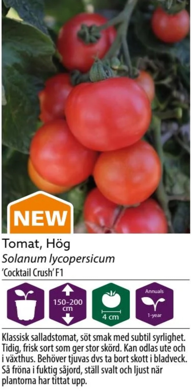 Tomat Hög Coctail Crush F1