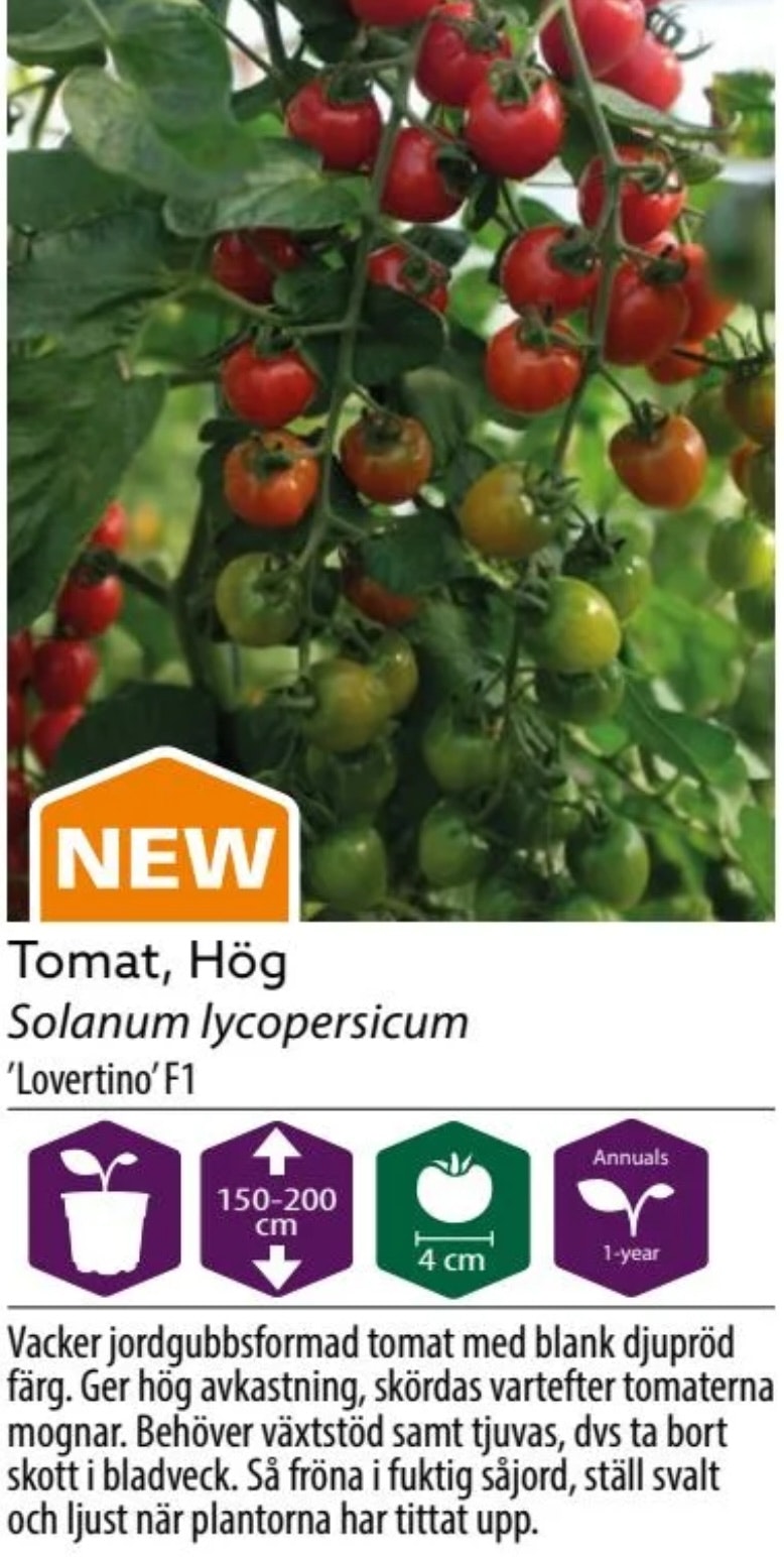 Tomat Hög Lovertino F1