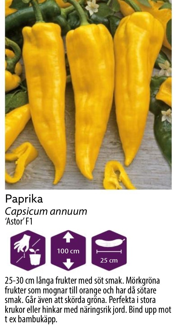 Paprika Astor