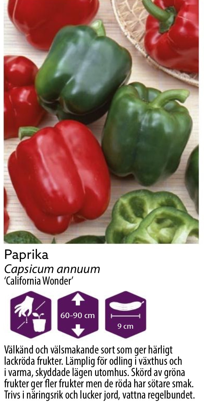 Paprika Calefornia Wonder