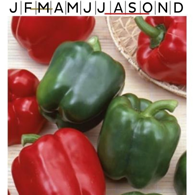 Paprika Calefornia Wonder