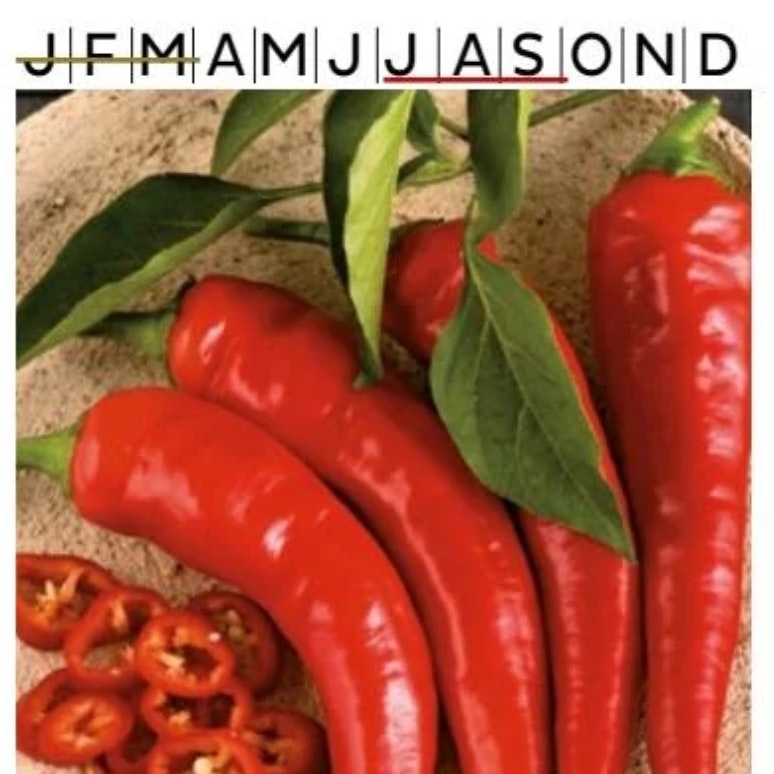 Chilipeppar Cayenne Long Slim