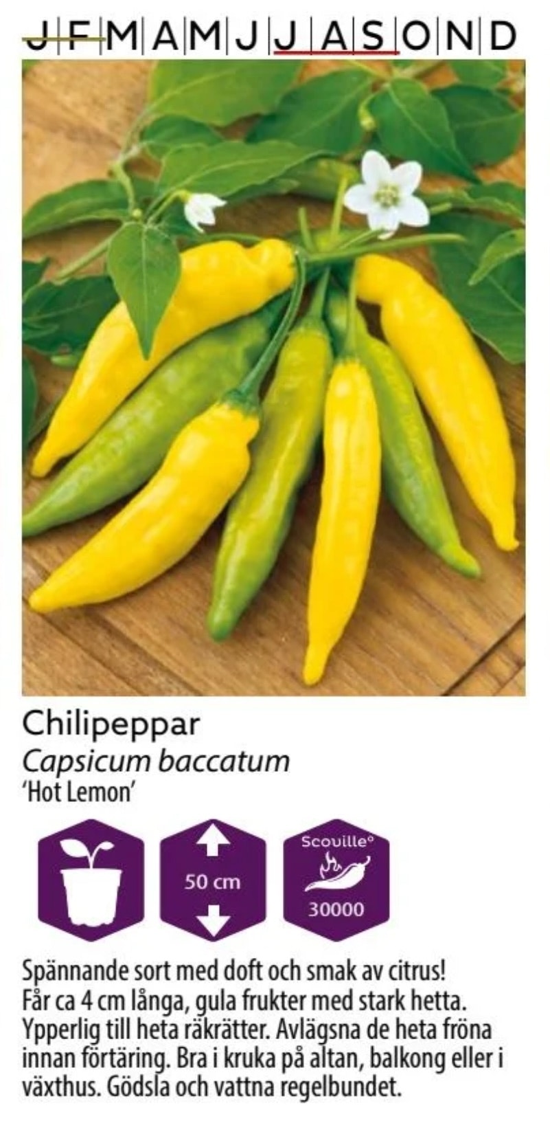 Chilipeppar Hot Lemon
