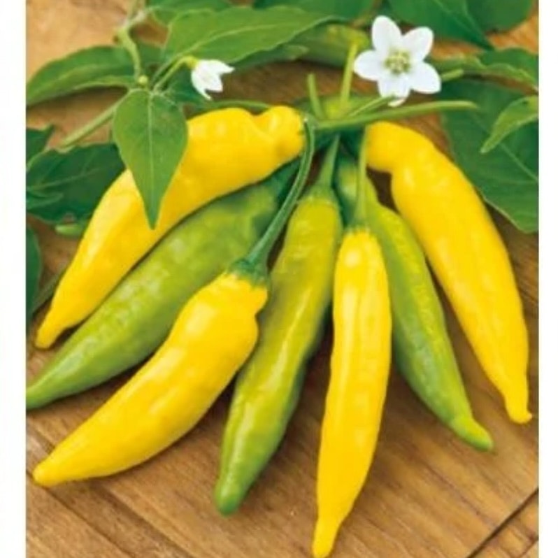 Chilipeppar Hot Lemon