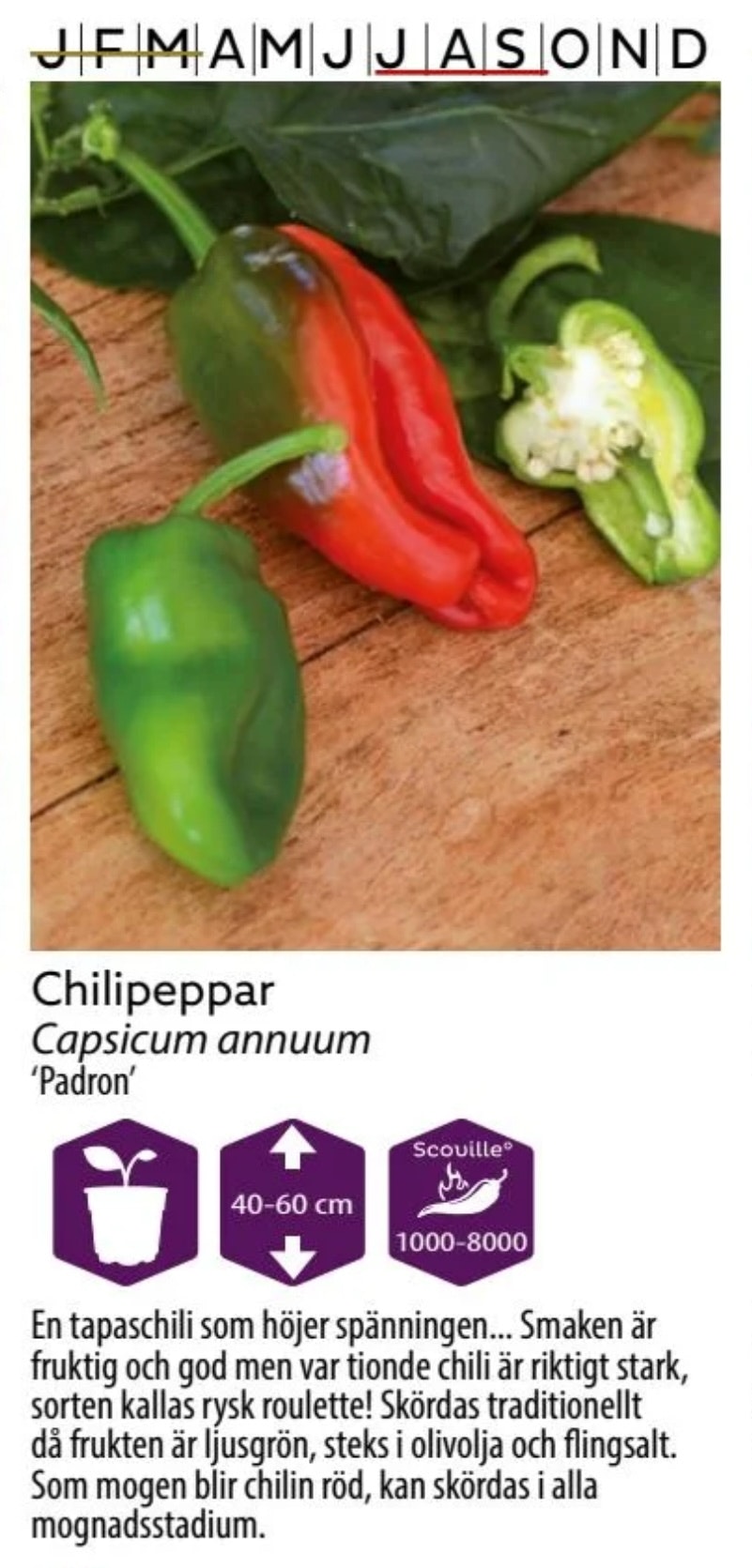 Chilipeppar Padron