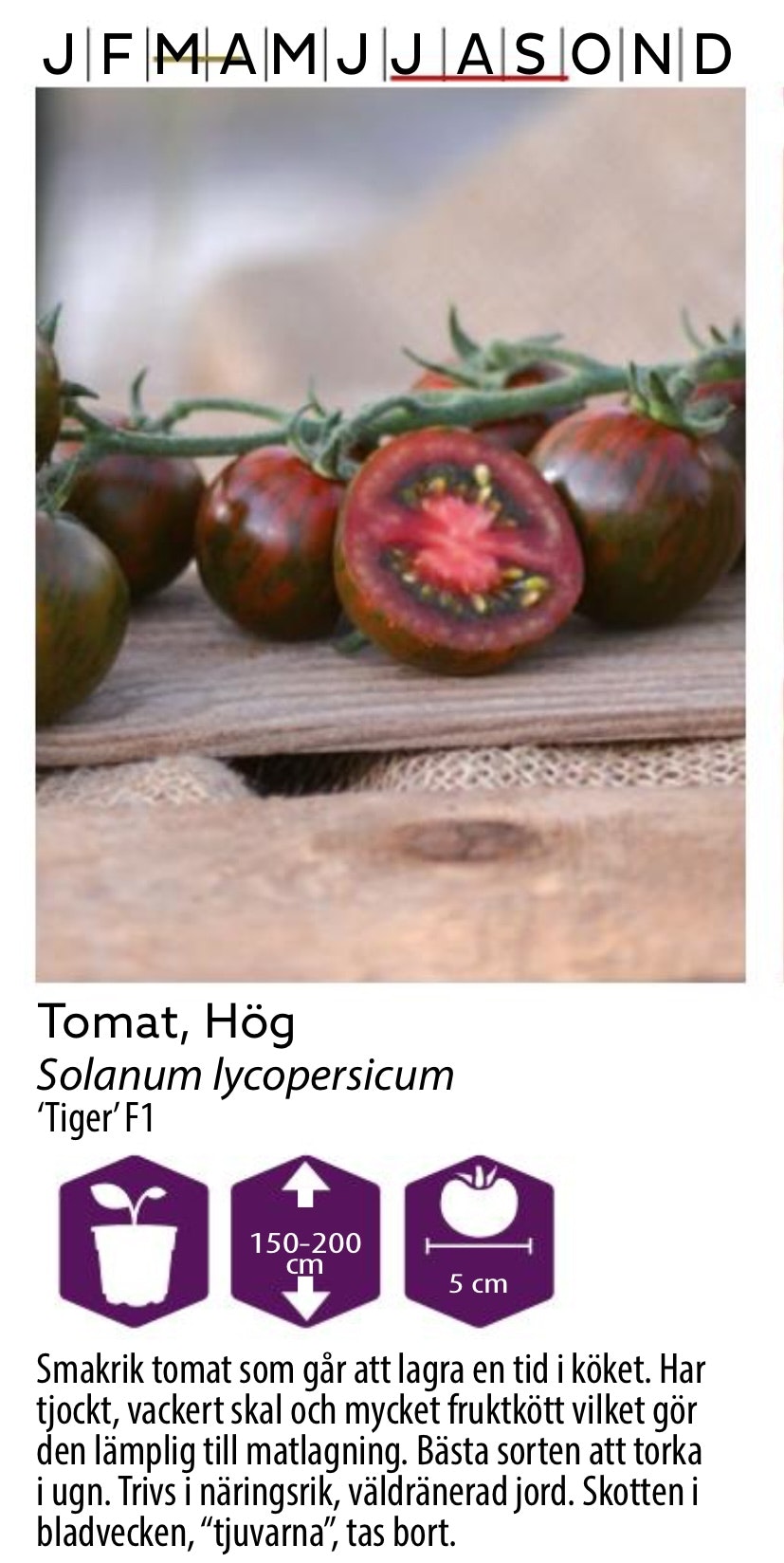 Tomat Tiger Hög