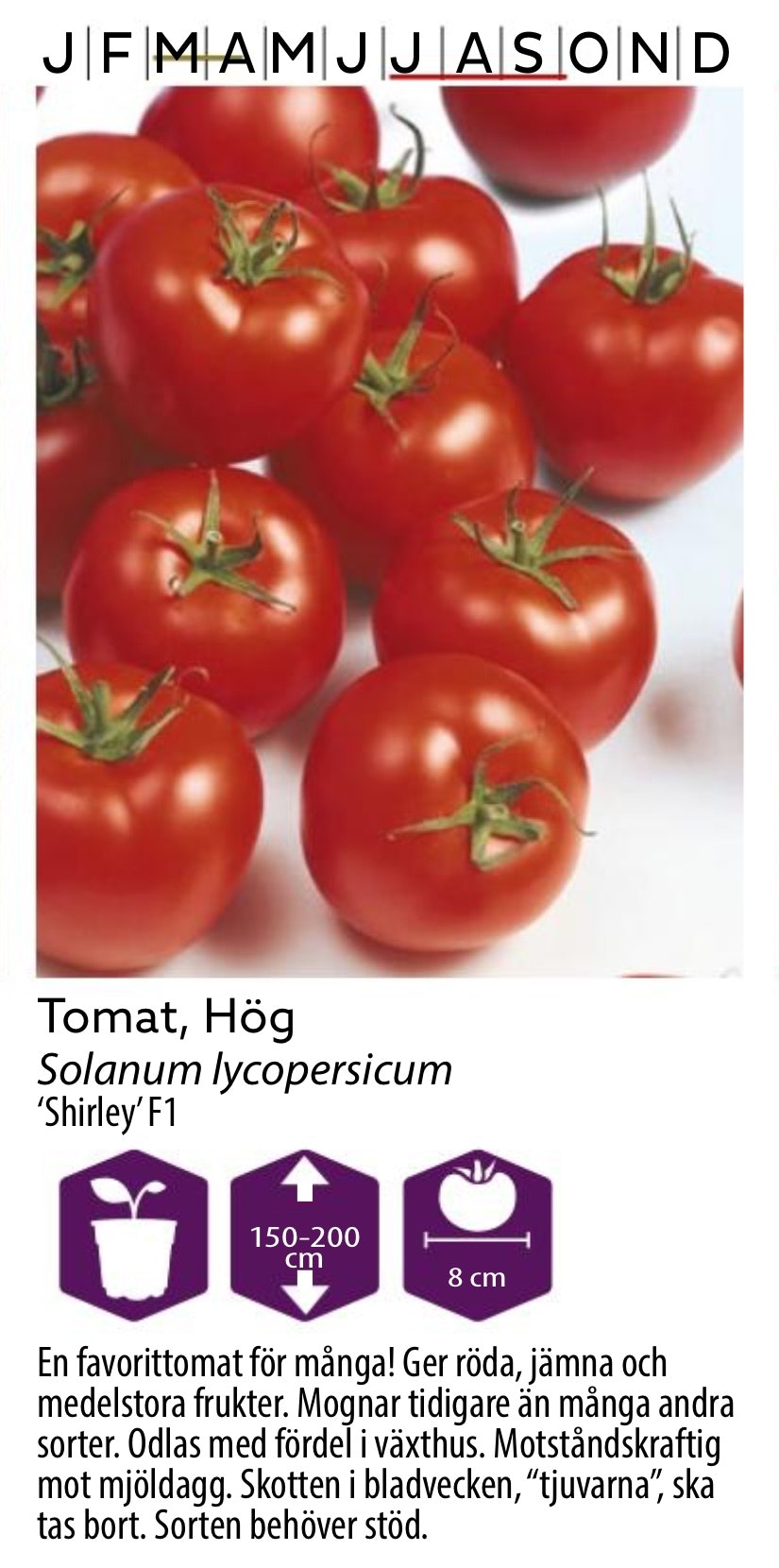 Tomat Hög Shirley