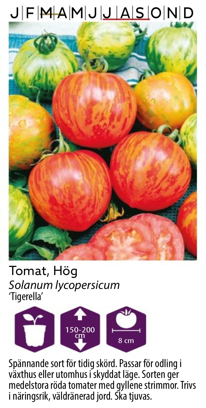 Tomat Hög Tigerella