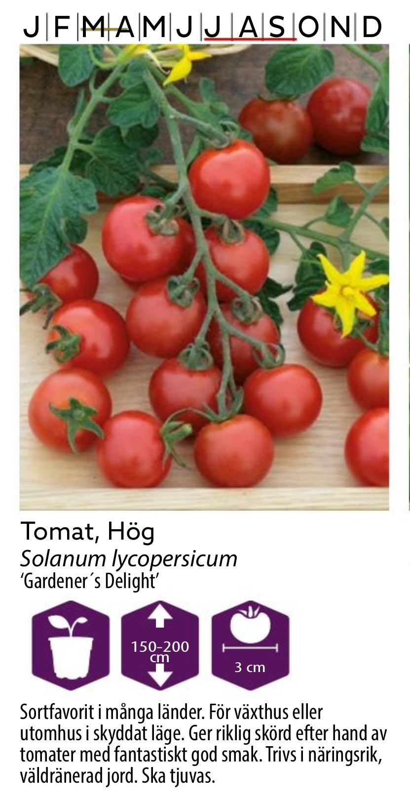 Tomat Hög Gardener’s Delight