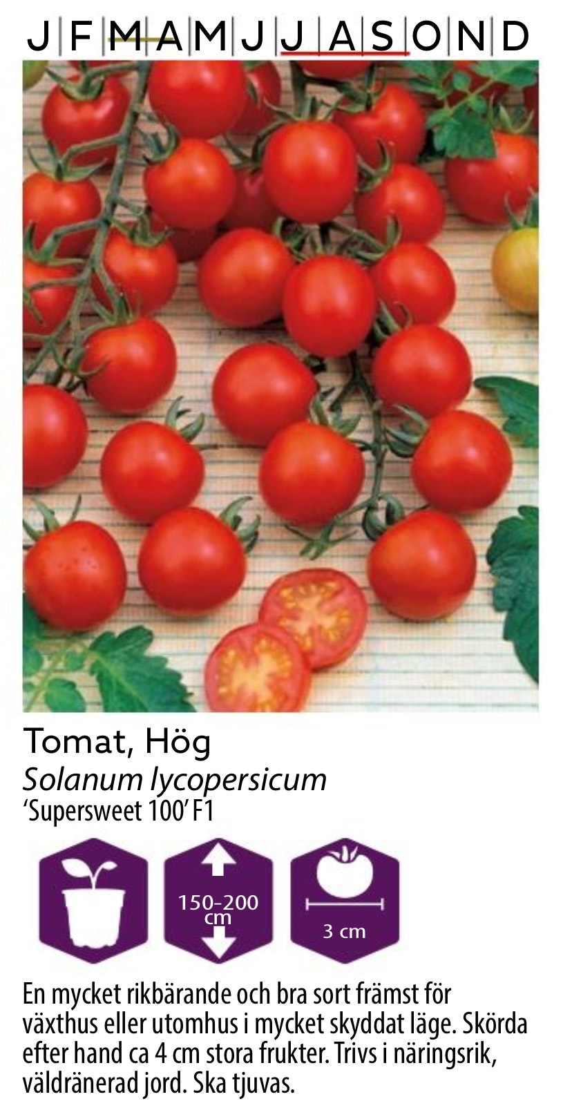 Tomat Hög Supersweet 100