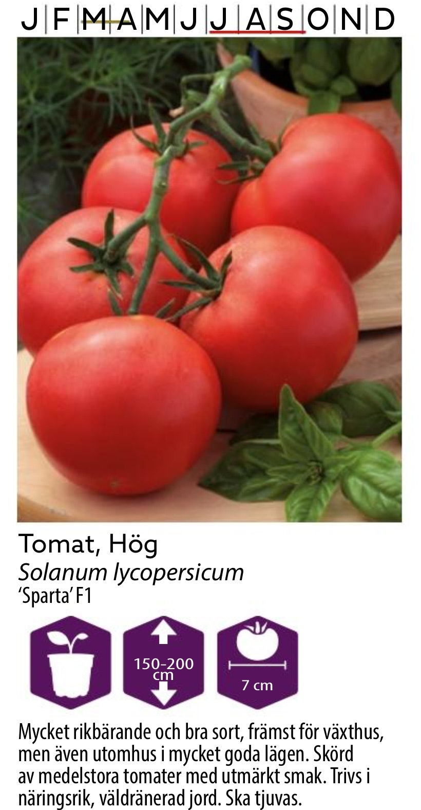 Tomat Hög Sparta
