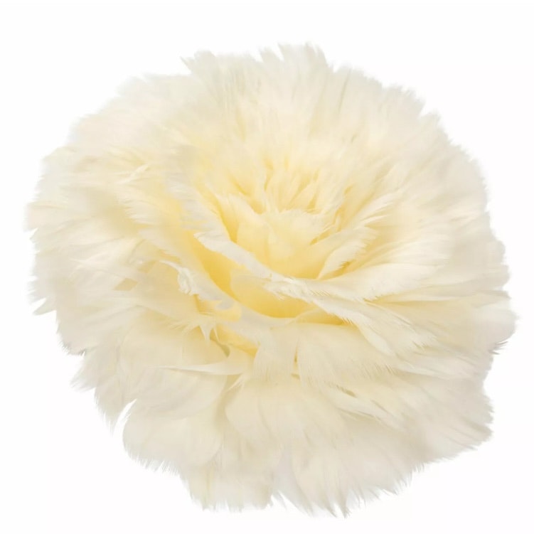 Fjäderblomma Med Clip Vanilj 1-4 pk