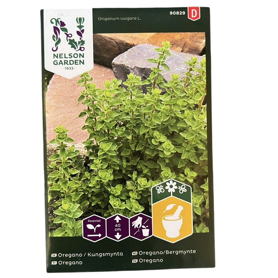 Oregano Kungsmynta