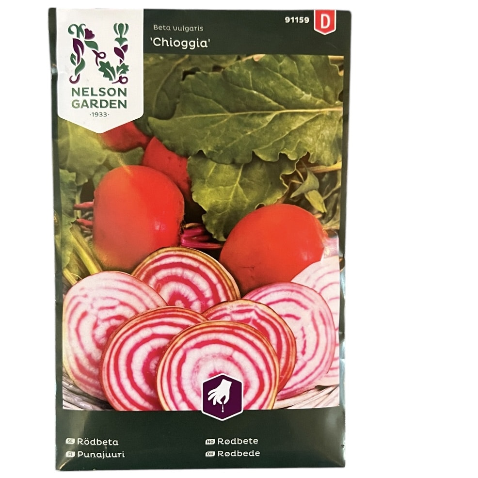Rödbeta Chioggia Rund
