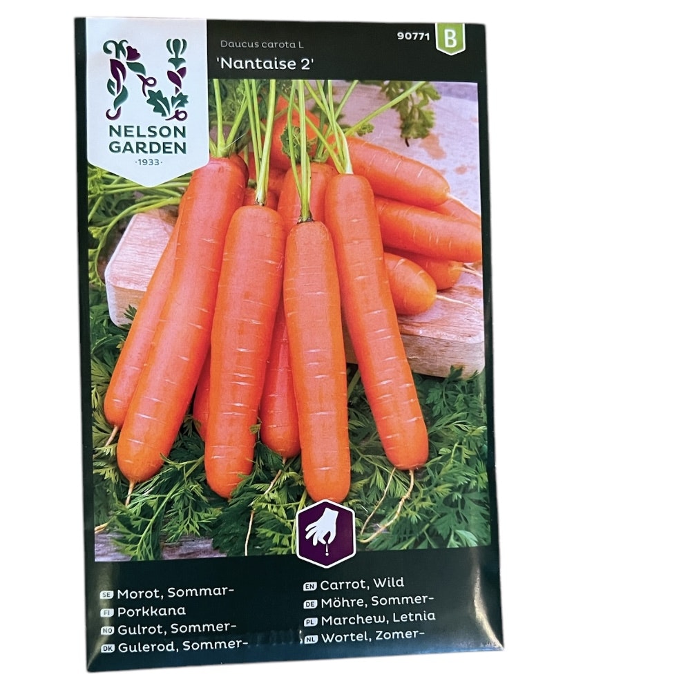 Morot Sommar Harlequin Mix F1